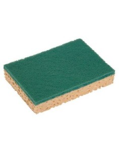 CLEANING SPONGE - discontinued 2