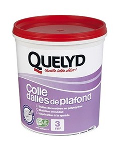 QUELYD COLLE DALLES PLAFOND - POT 1 KG